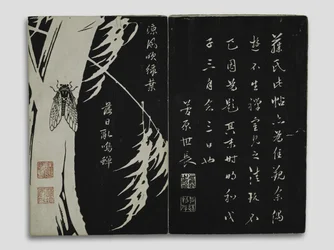 クンルン山地の花（元保夜花）江戸時代（版画）